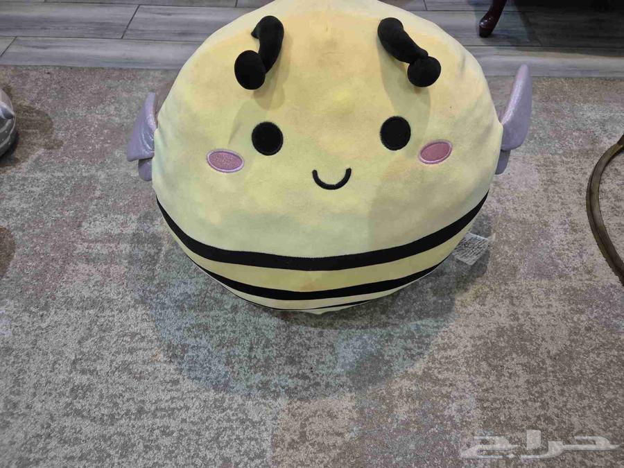 دبدوب سكويش ميلو64437301921155114