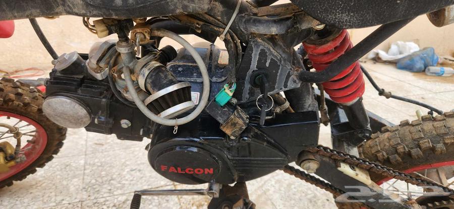 دباب 12564598904918273112