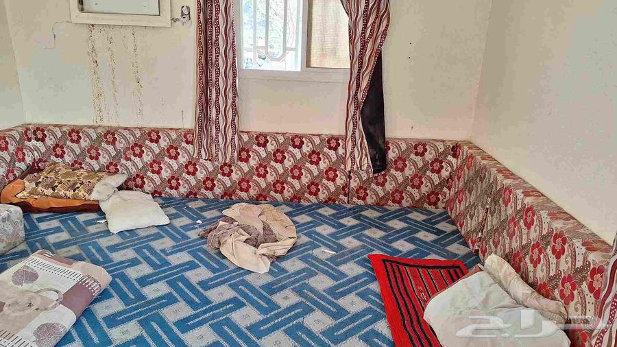 للبيع متاكي ظهريا مجلس 4 7 اللون احمر64435095456129113