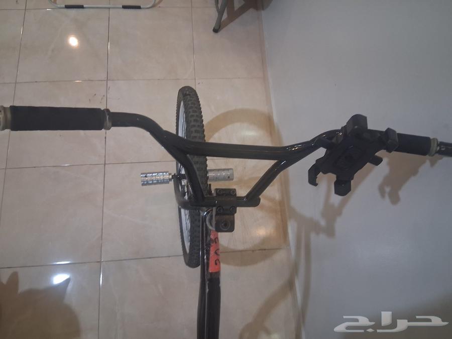 Butterfly bicycle size 2664440124005123110