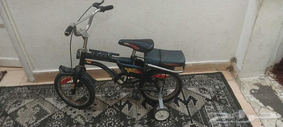 دراجة رامبو مقاس 1264433619831811111