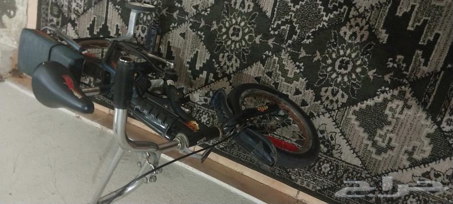 دراجة رامبو مقاس 1264433619831811113