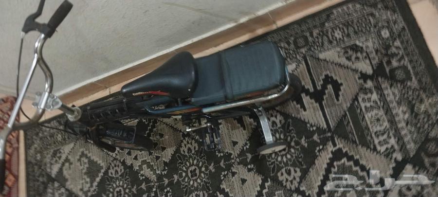 دراجة رامبو مقاس 1264433619831811110