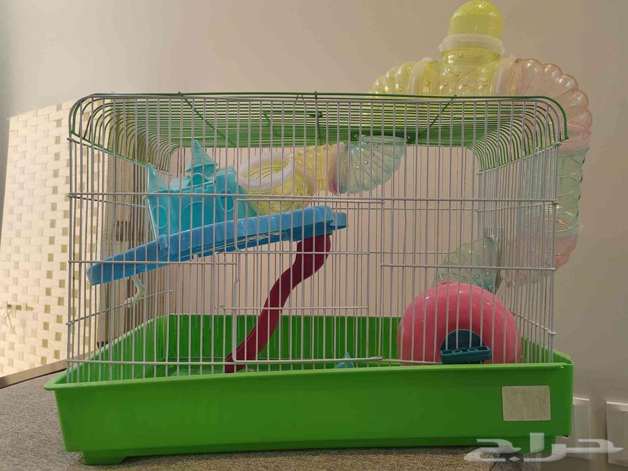 قفص هامستر للبيع بأعلى سوم64436279693441110