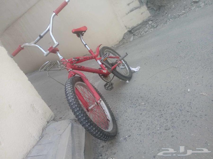 Cobra bicycle size 2064420013845377112