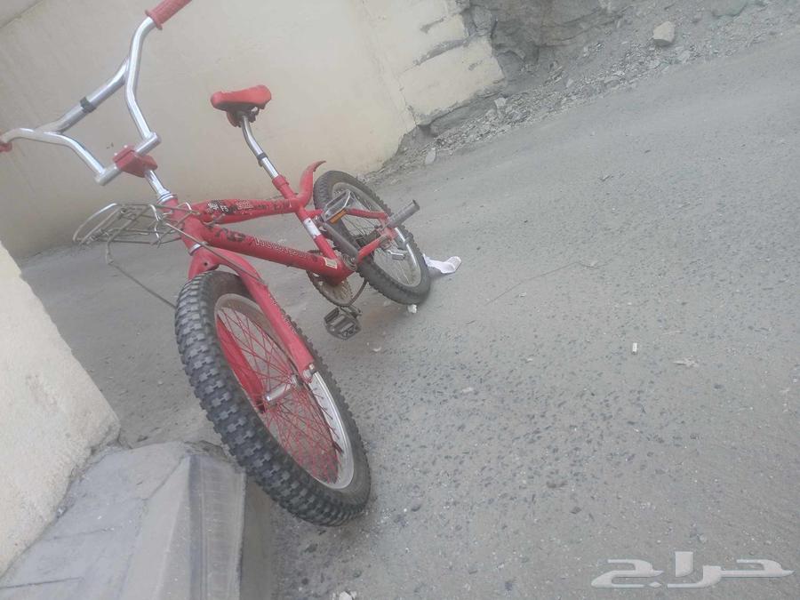 Cobra bicycle size 2064420013845377113