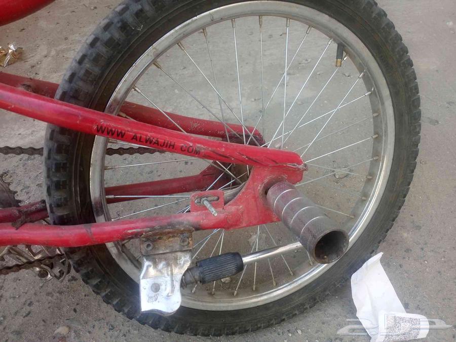 Cobra bicycle size 2064420013845377111