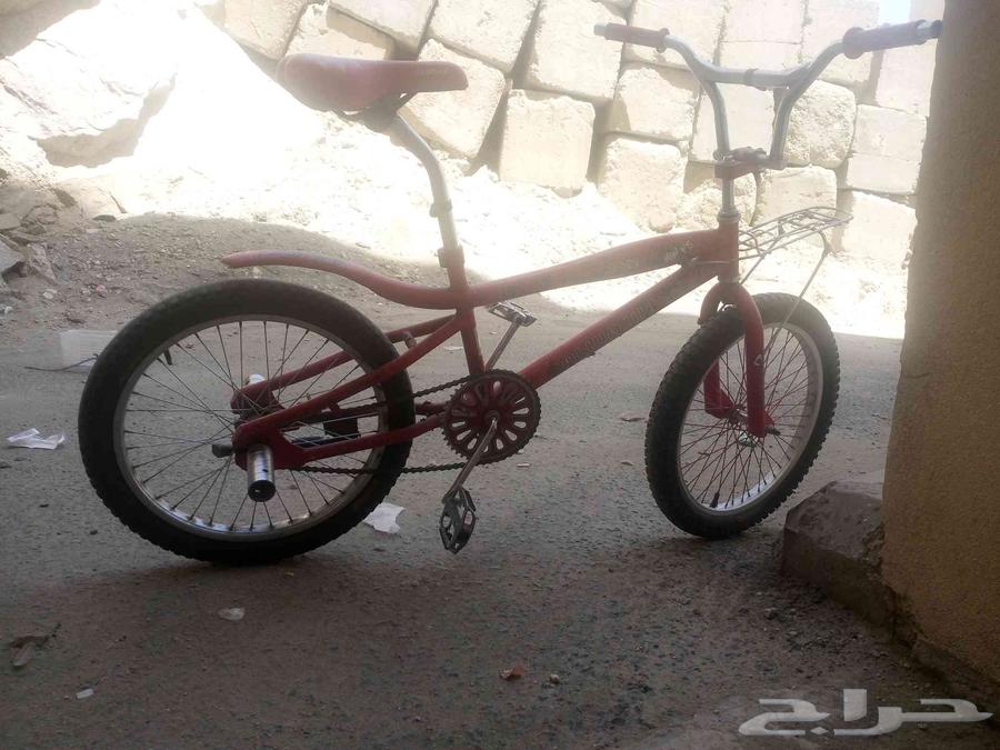 Cobra bicycle size 2064420013845377114