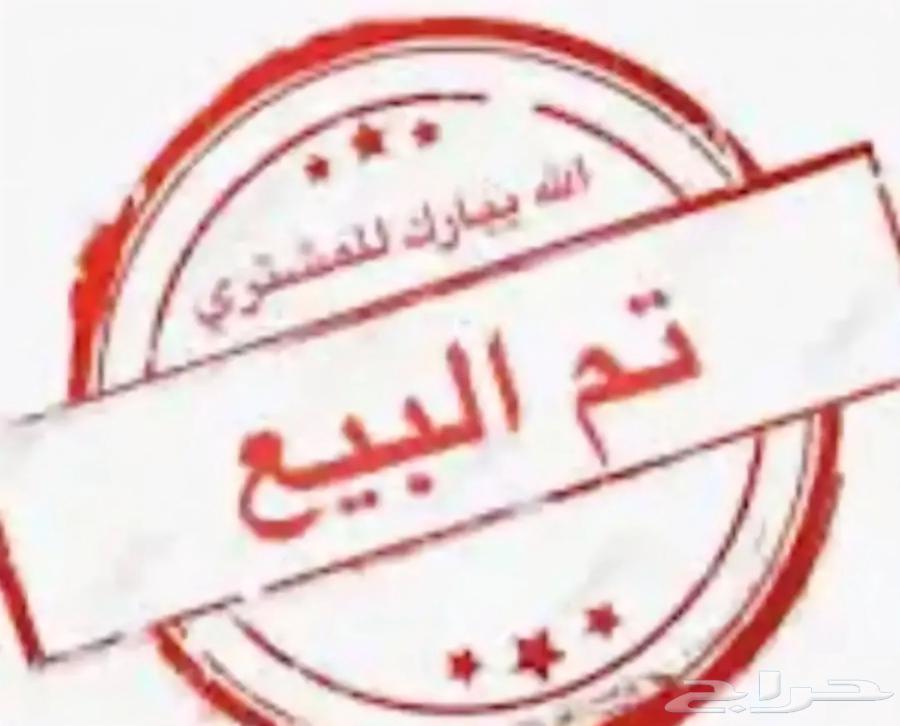 عنز عارضيه خلفه صنف64410638309377110