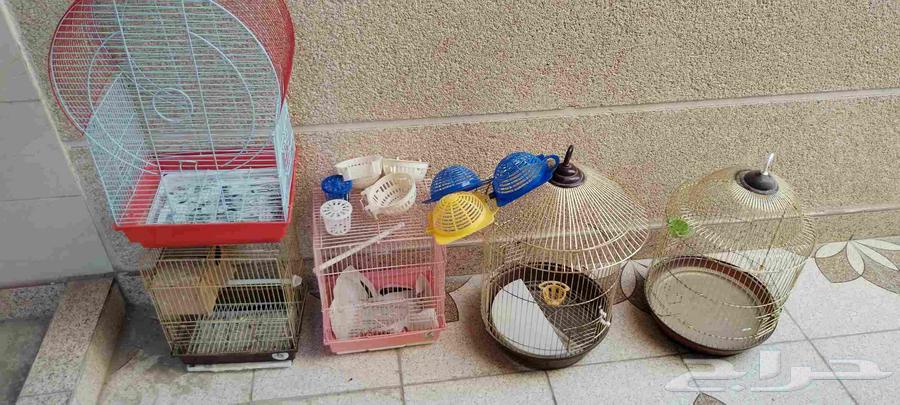 اقفاص طيور و بياضات كناري64438015654403110