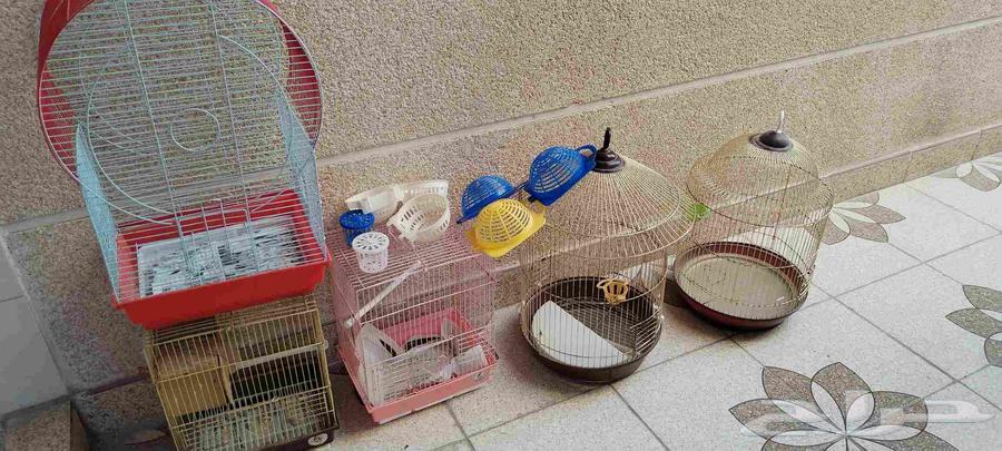 اقفاص طيور و بياضات كناري64438015654403112