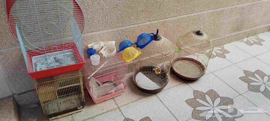 اقفاص طيور و بياضات كناري64438015654403111