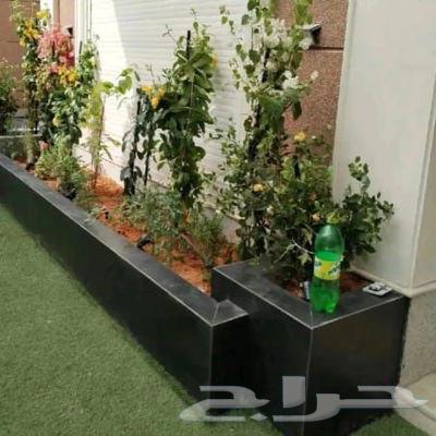 عشب طبيعي درجه اولي64441130996738112