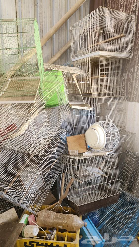 للبيع القفص بيضه اجهزين تنظيف اكل64436991292290113