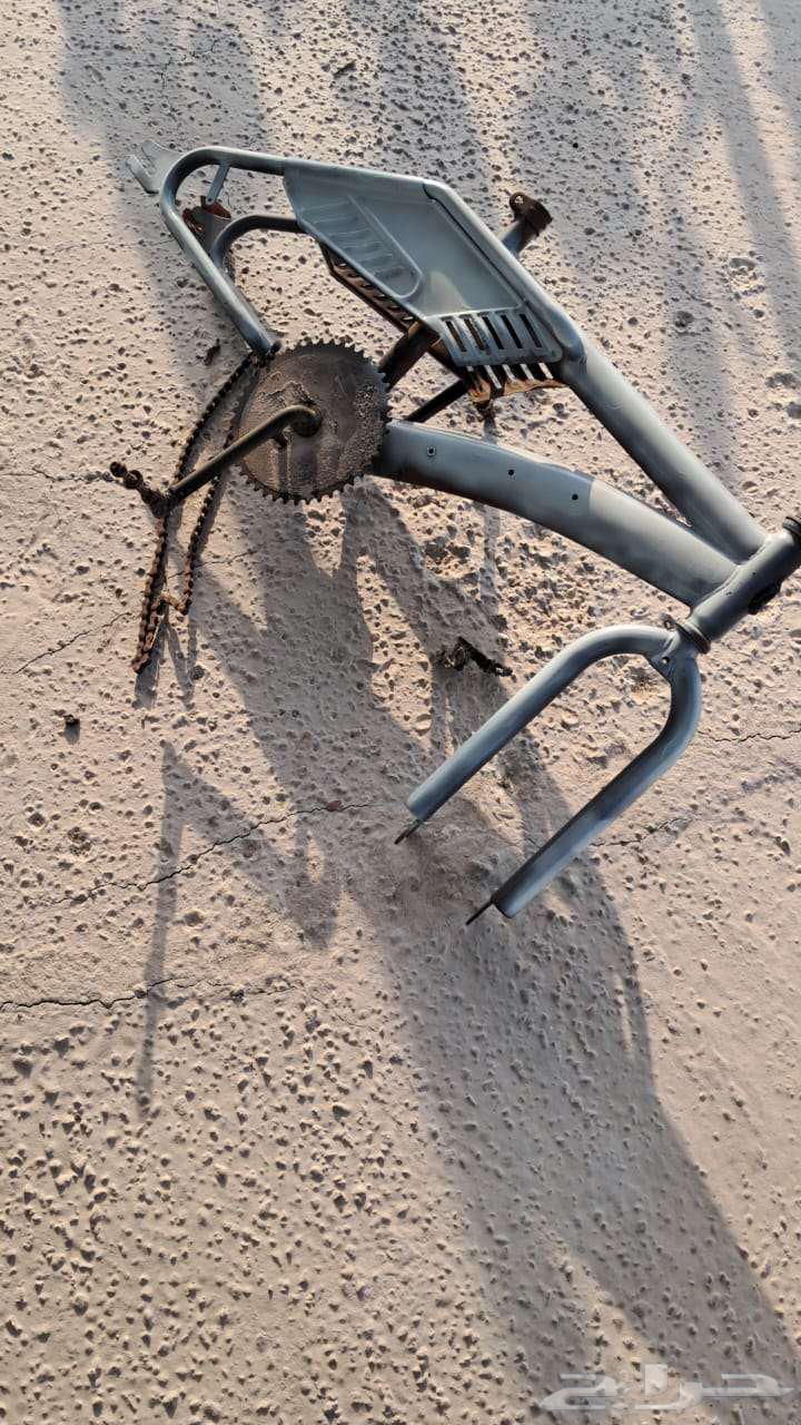 I need a Rambo size 2064433793197827111