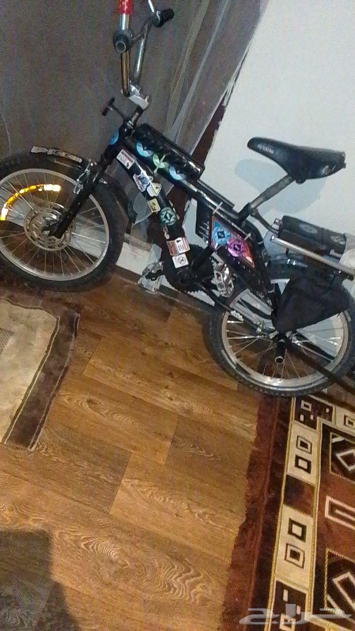 Indonesian Rambo, good but he wants a list of 25064435026830595110