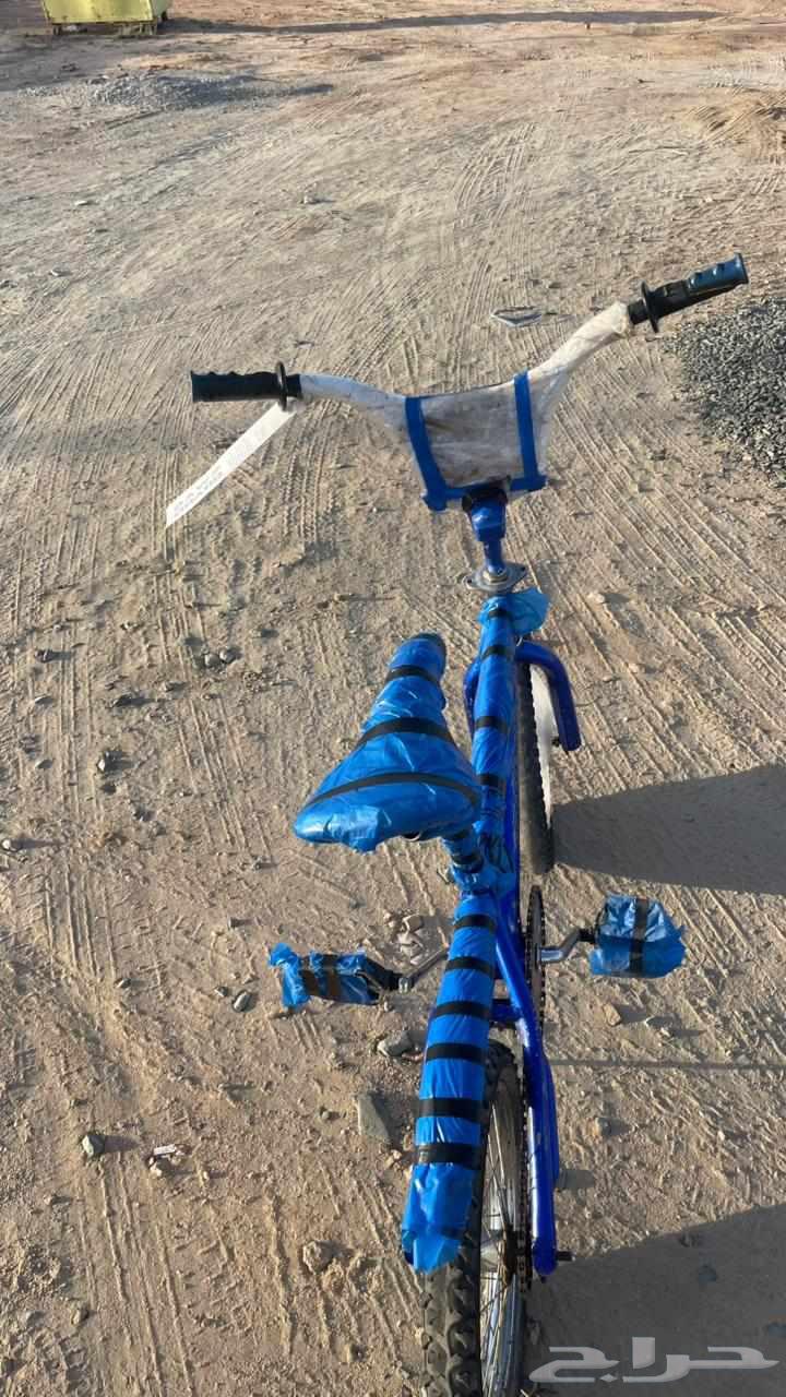 سيكل كوبرا مقاس 1664433699990530112