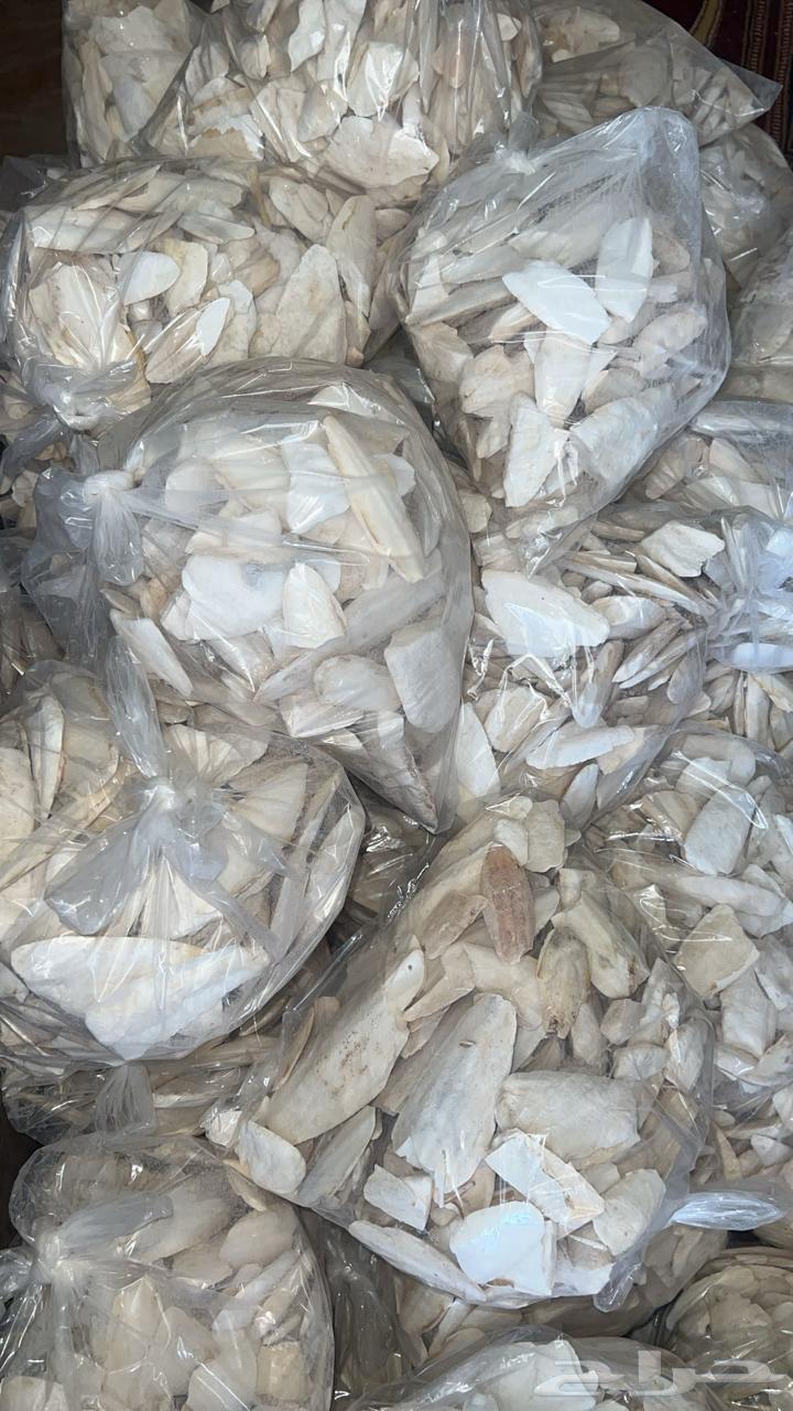 Broken squid bone for birds.64441773368323110