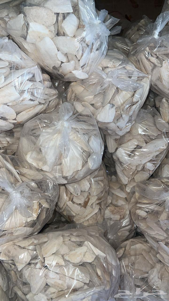 Broken squid bone for birds.64441773368323114