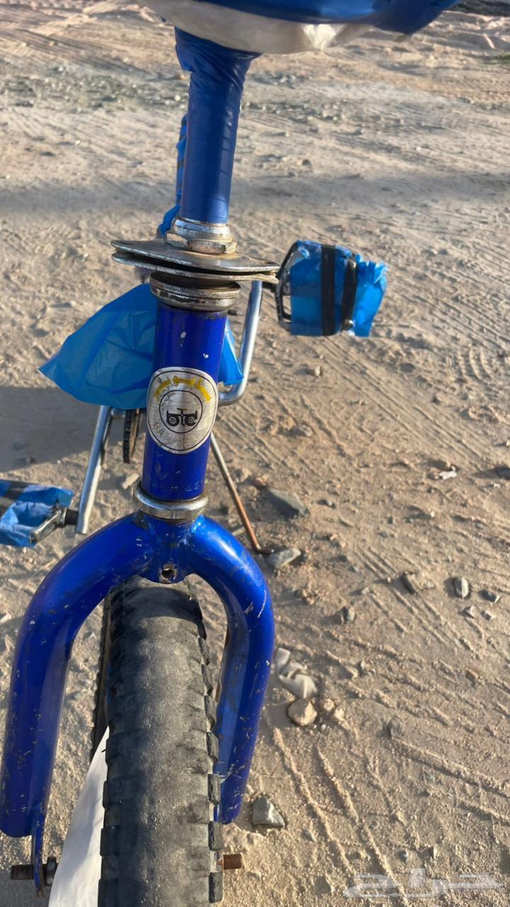 سيكل كوبرا مقاس 1664433699990530113