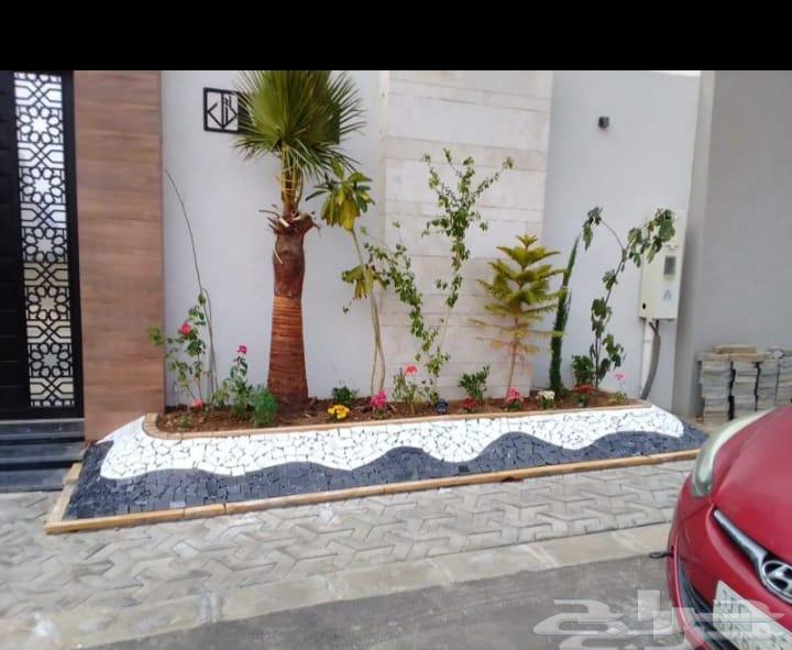 عشب طبيعي درجه اولي64441130996738111