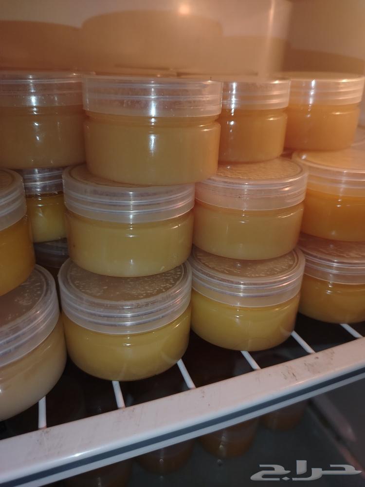 دهن نعام أفريقي لأمراض العظام بدون مقابل64440411066113113