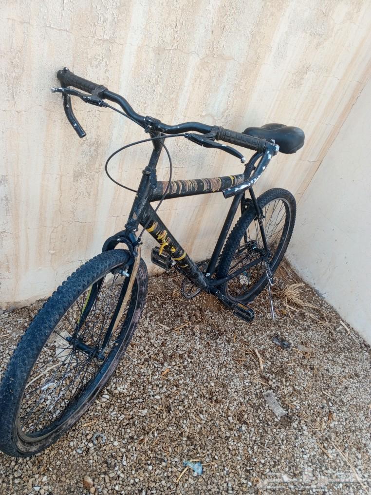 A new bike in Kafr El Lelwa, the rear fender is not spreading, and the front fender only smells64438310865409113