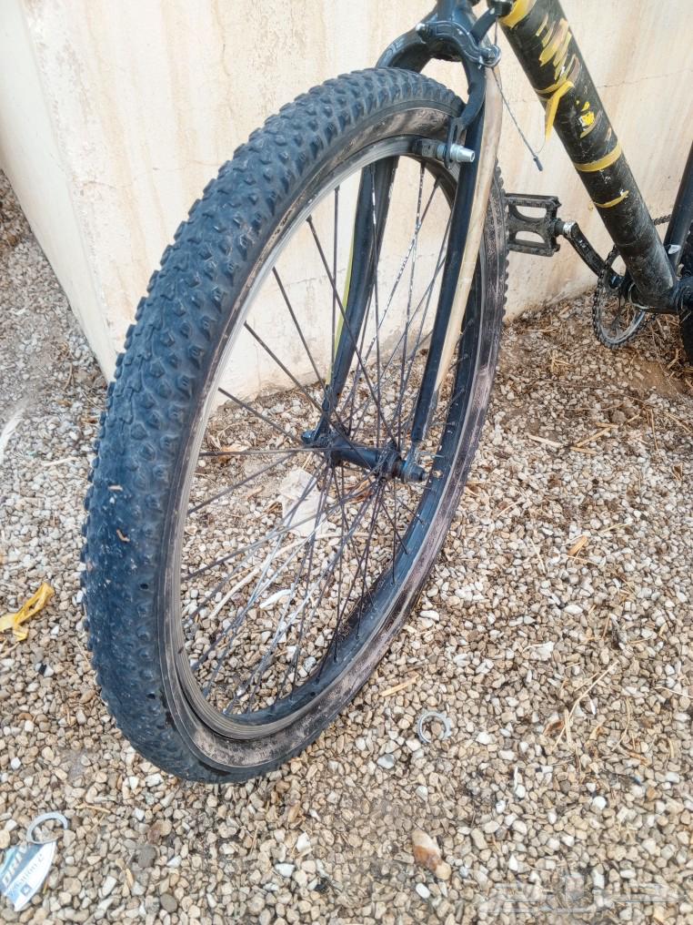 A new bike in Kafr El Lelwa, the rear fender is not spreading, and the front fender only smells64438310865409114
