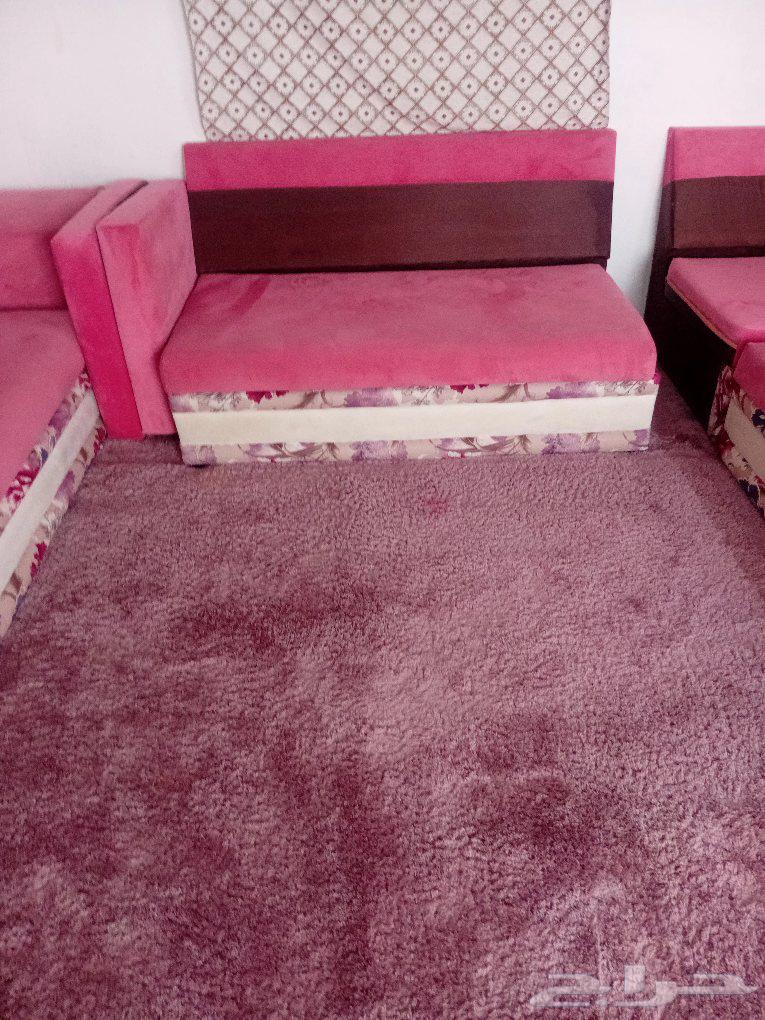 Clean sofa for simple use64438458701953111