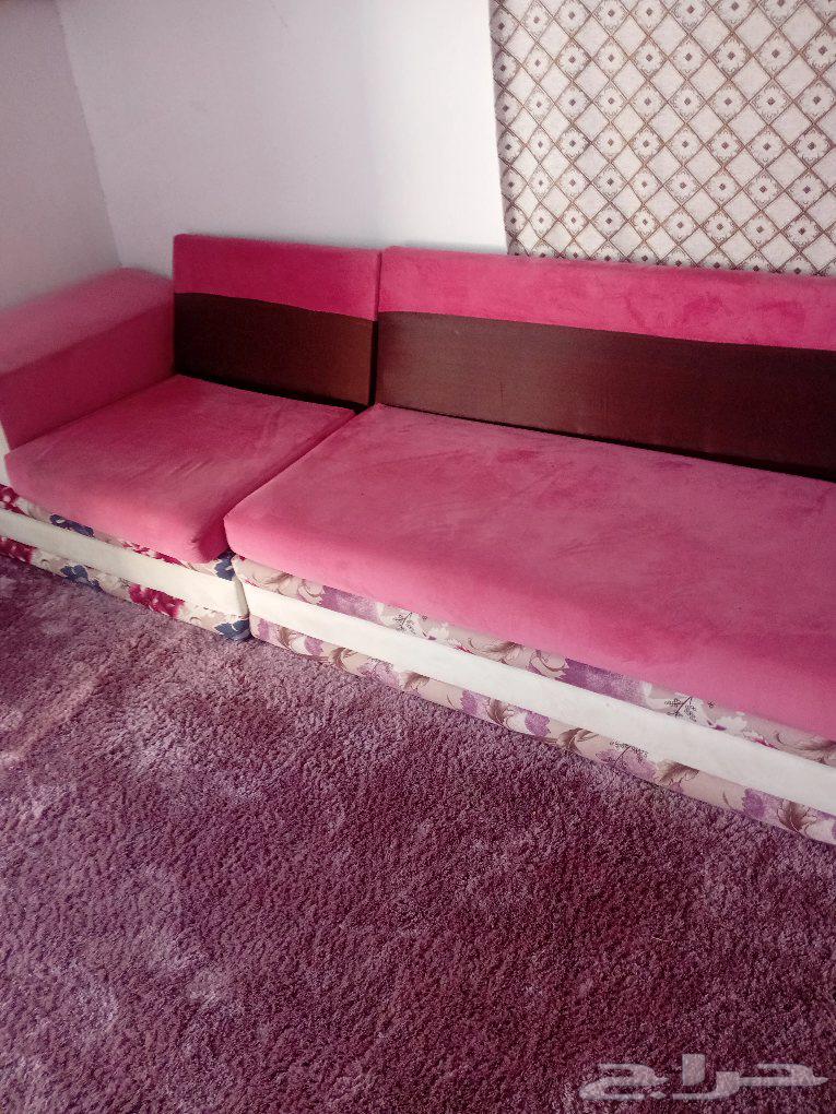 Clean sofa for simple use64438458701953112
