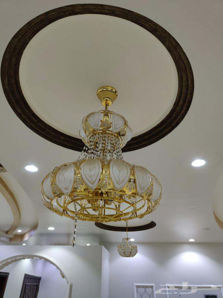 نجفات للبيع يبيلها لمبات فقط على السوم64433912988418111