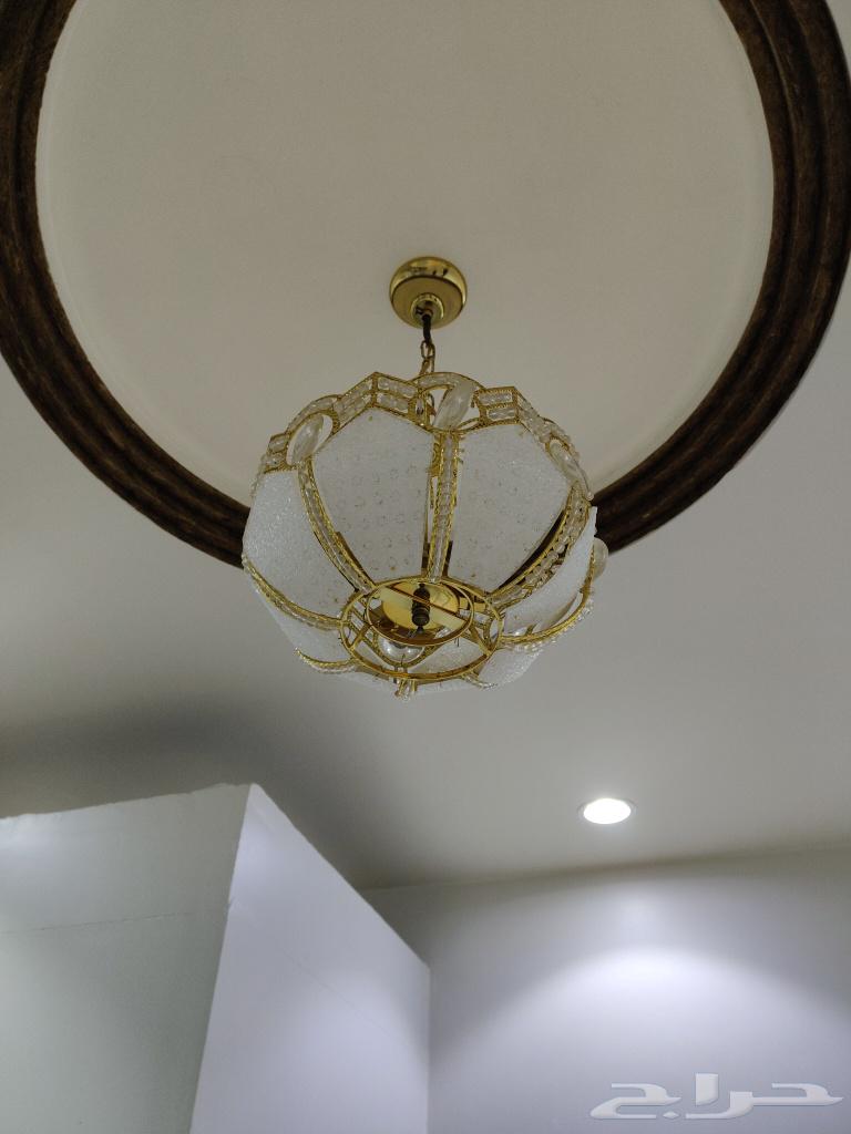 نجفات للبيع يبيلها لمبات فقط على السوم64433912988418112