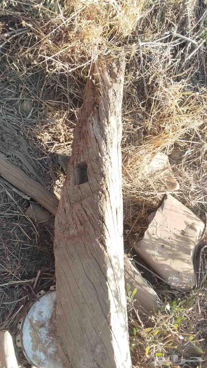 يوجدخشب قديم للبيع الباحه سعرمناسب للتفاهم واتساب64438780204675110