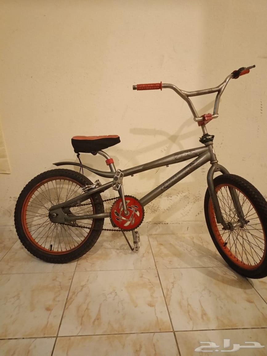 دراجة كوبرا مقاس 2064439500049027110
