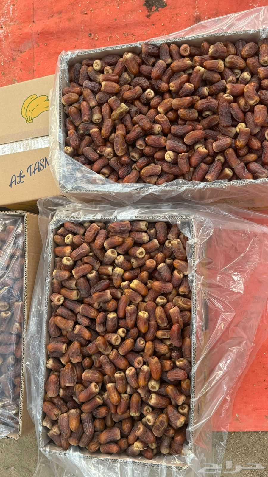 برني العيص الفاخر كراتين64441171872259112