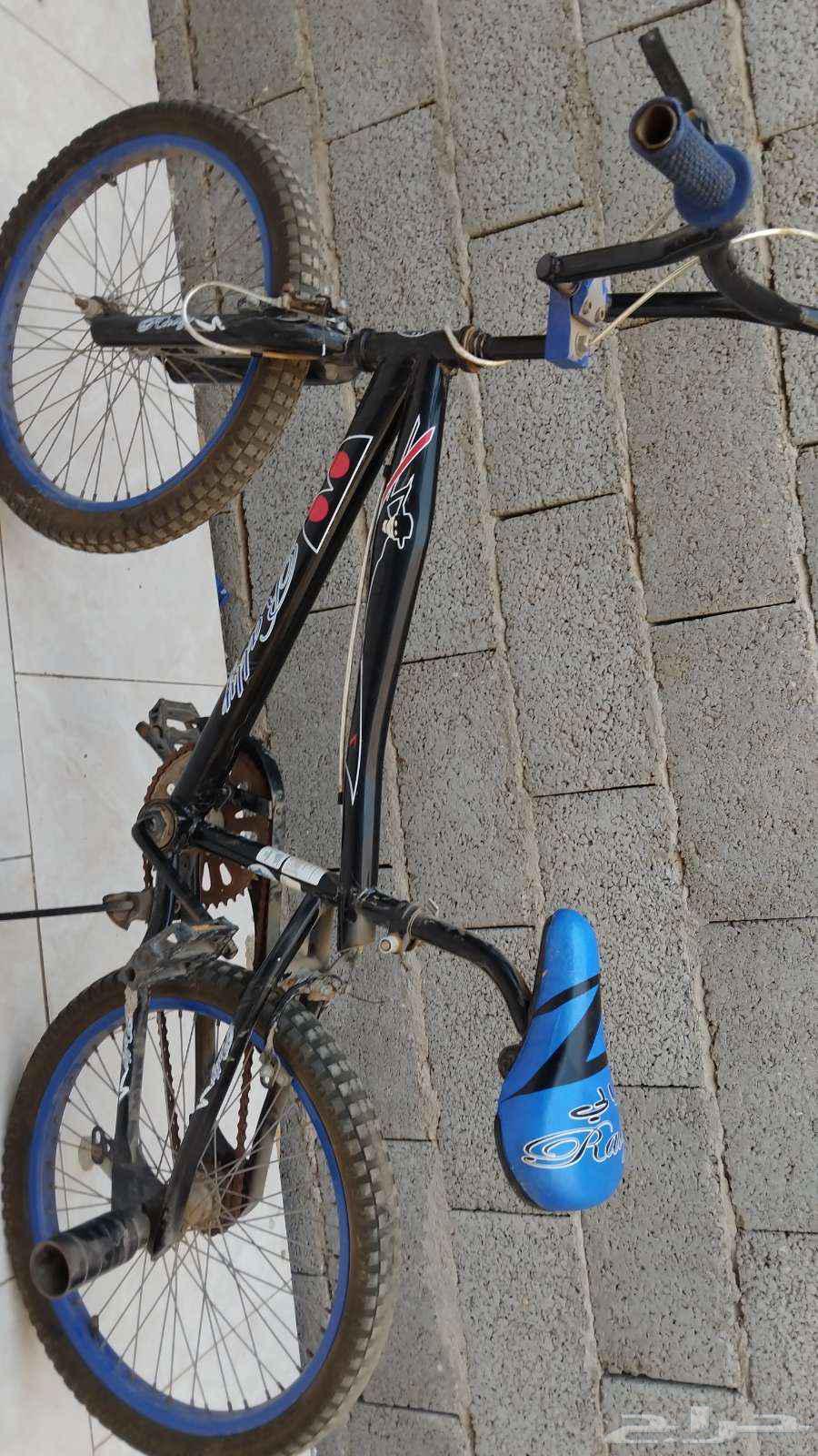 New Cobra bike, lightly used, no stand available64439009479427110