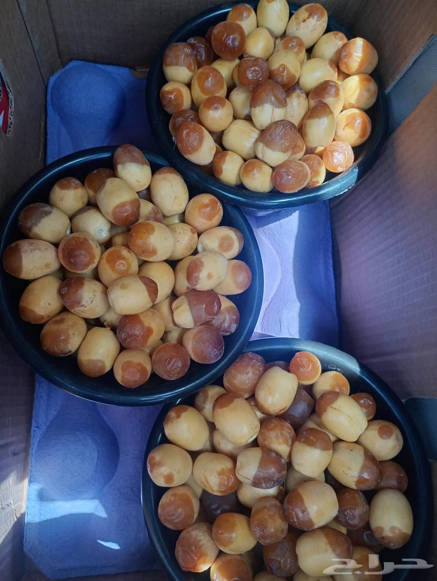 رطب هلالي للبيع64436588063874112