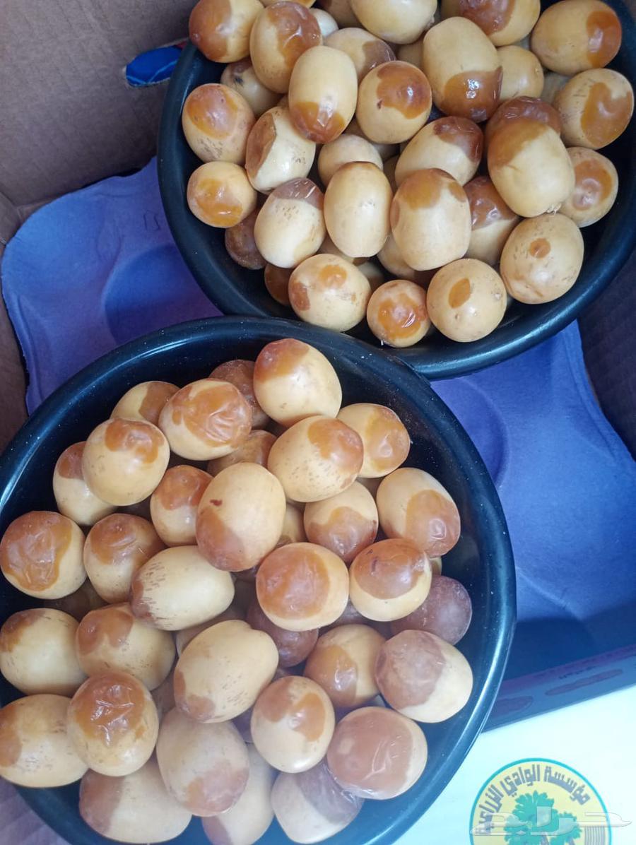 رطب هلالي للبيع64436588063874113