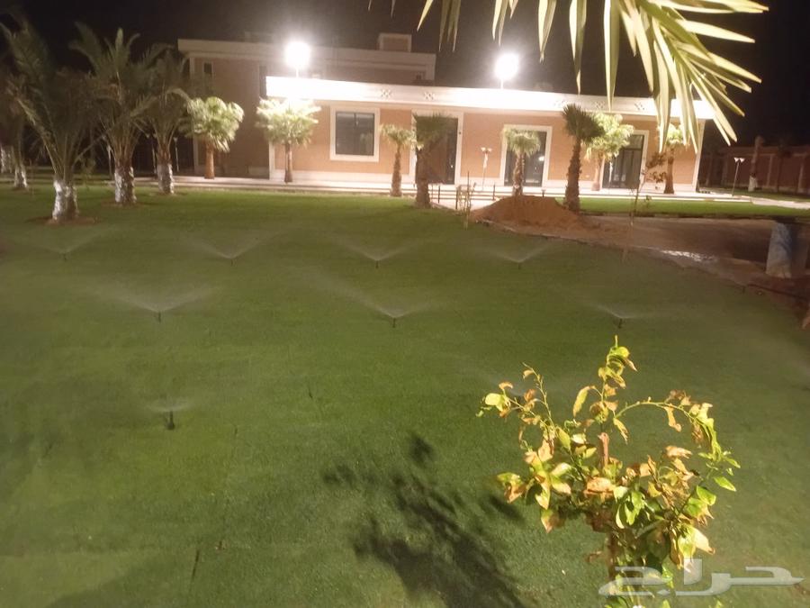 Thil C 2000 pure and natural first grade available with installation and supply within Riyadh and outside Riyadh64443762669315114