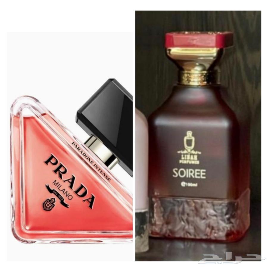 Best-selling perfumes, clearance price 70 SAR instead of 145 SAR64444405165059110