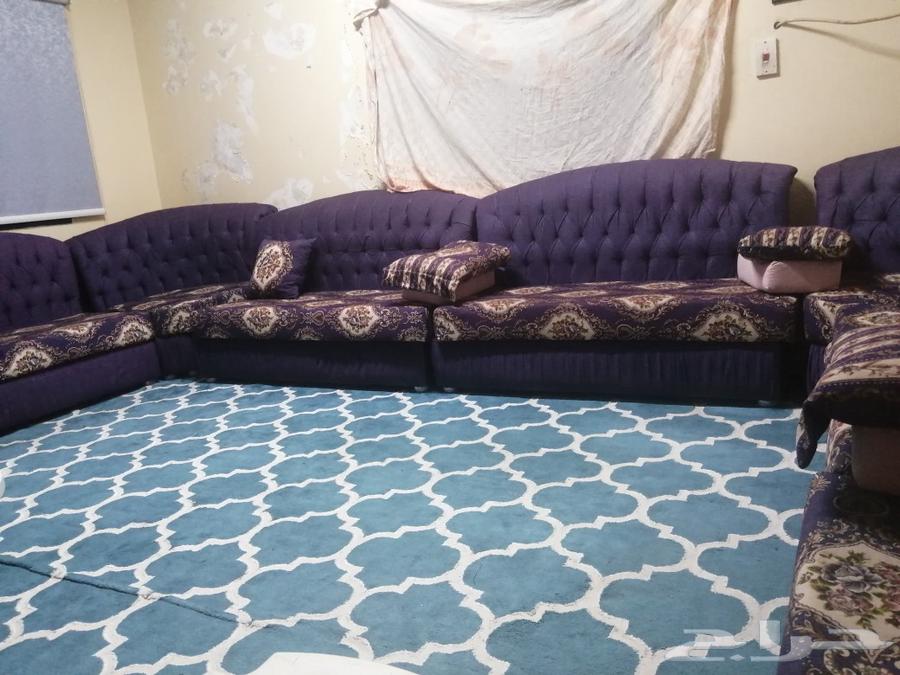 Large living room sofa with carpet, five and a half length and four width64448954063617110