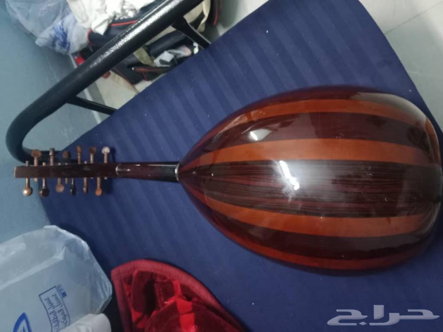 عود للبيع64445567297282111