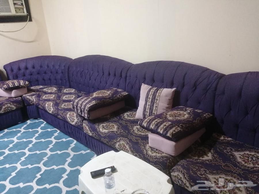 Large living room sofa with carpet, five and a half length and four width64448954063617112