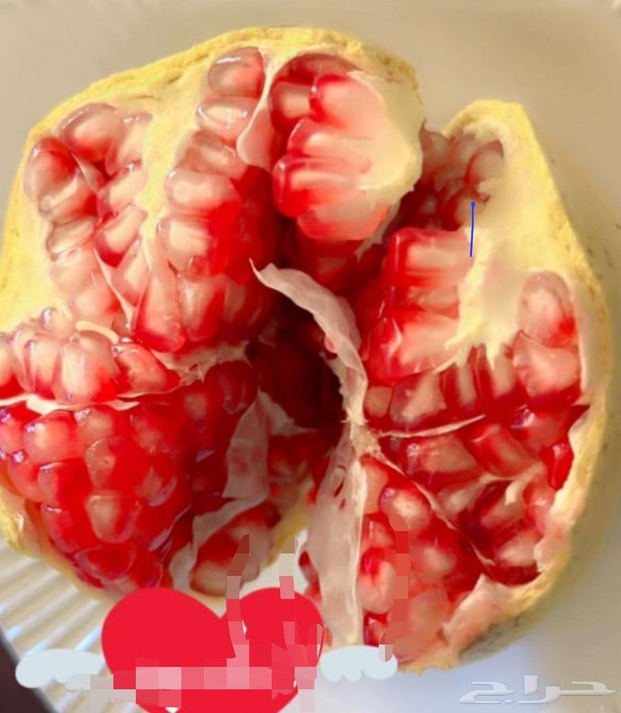 رمان بيده وتوصيل الي جميع أنحاء المملكة64445418488449113