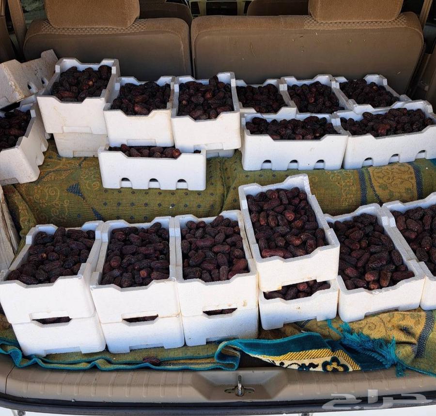 تمر صفاوي جديد 30 فلين للبيع64443963810689110