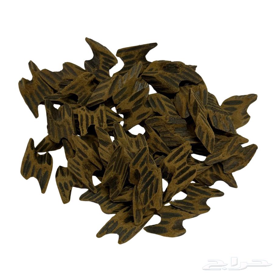 عودة تايجر فتنامي مضمون64448328486786110