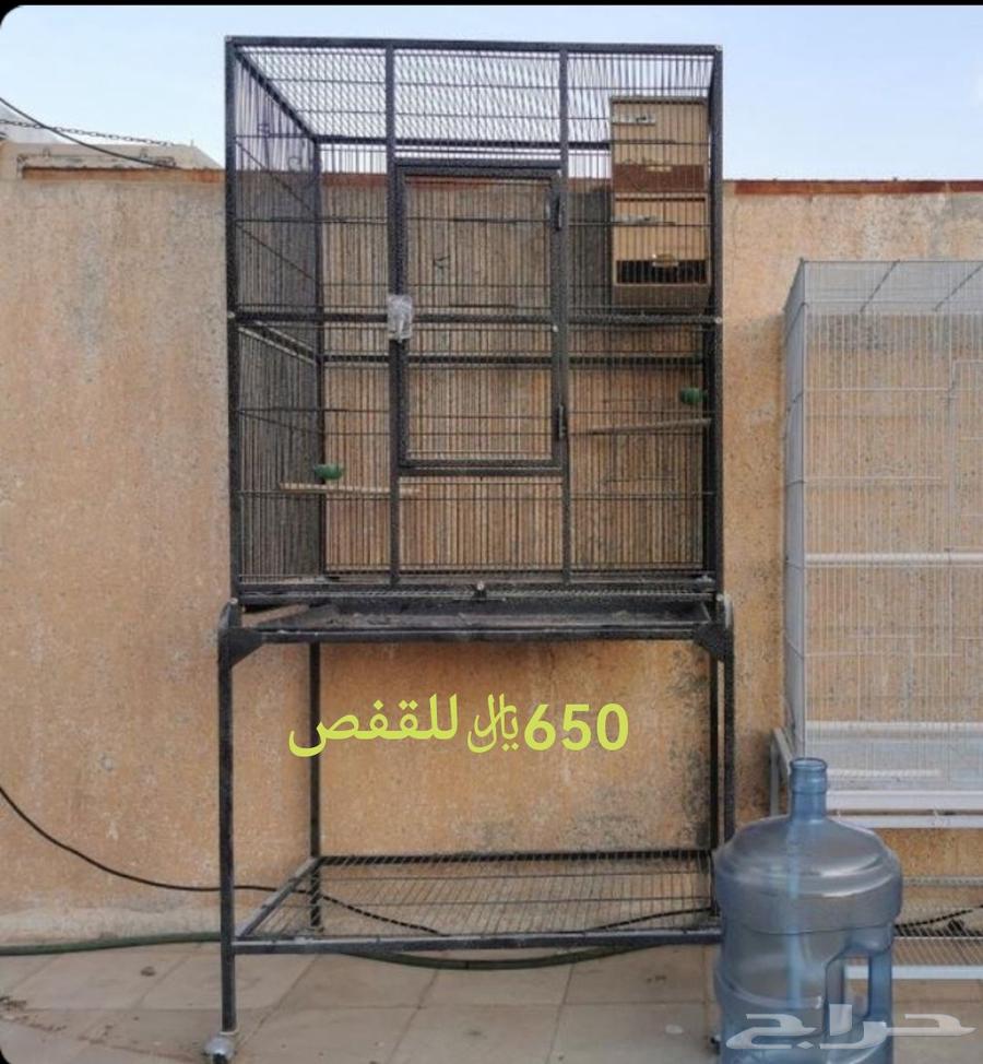 Cages and aviaries64445418317315114