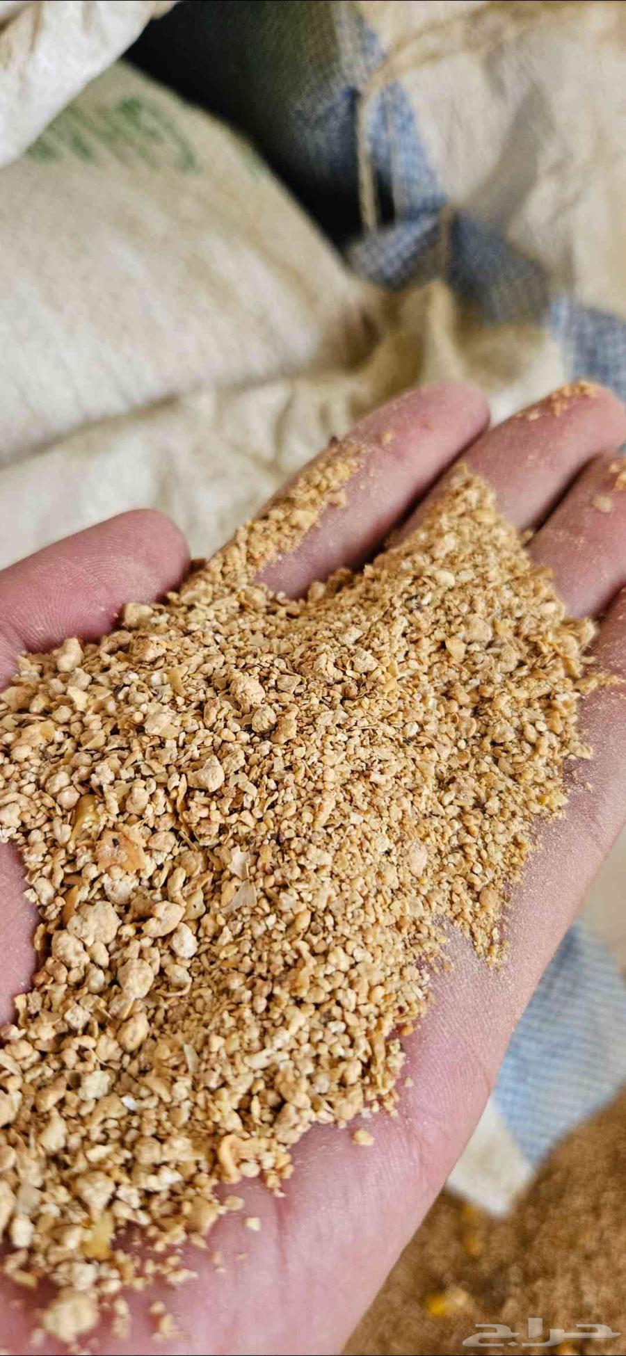 اعلاف علف ذرة صفراء وصويا سعر منافس والكمية محدودة64443533504770111