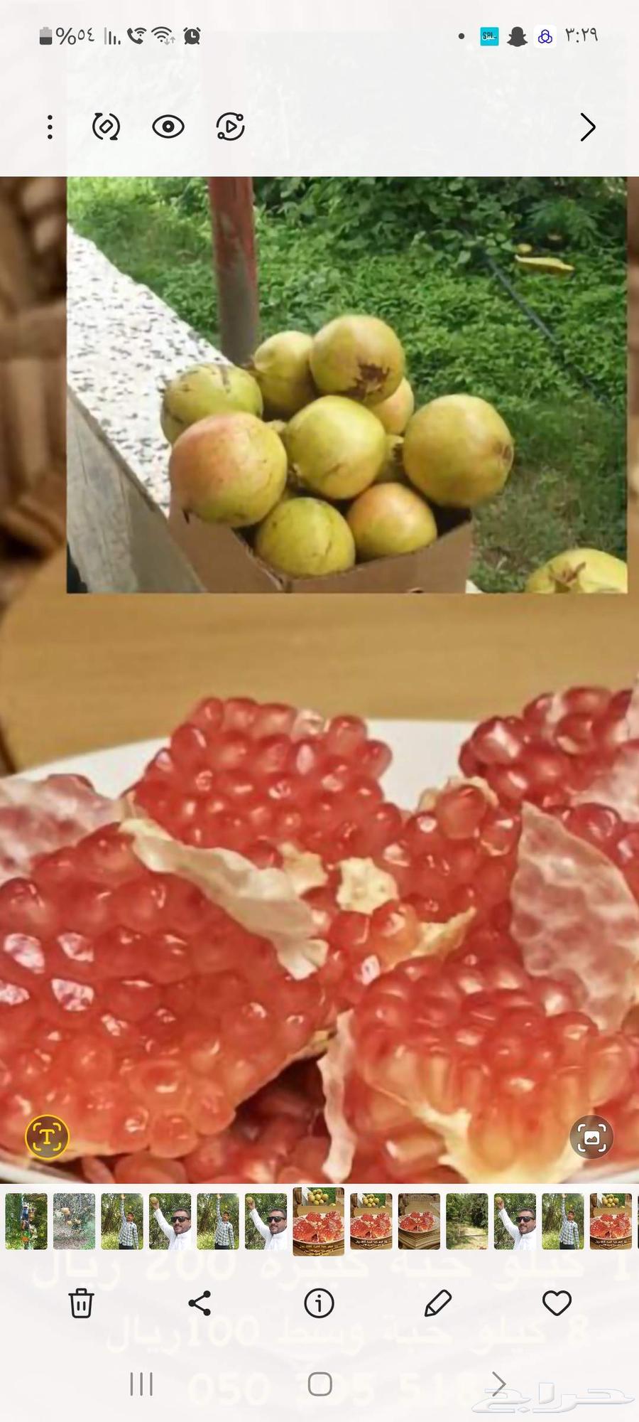 رمان بيده وتوصيل الي جميع أنحاء المملكة64445418488449114