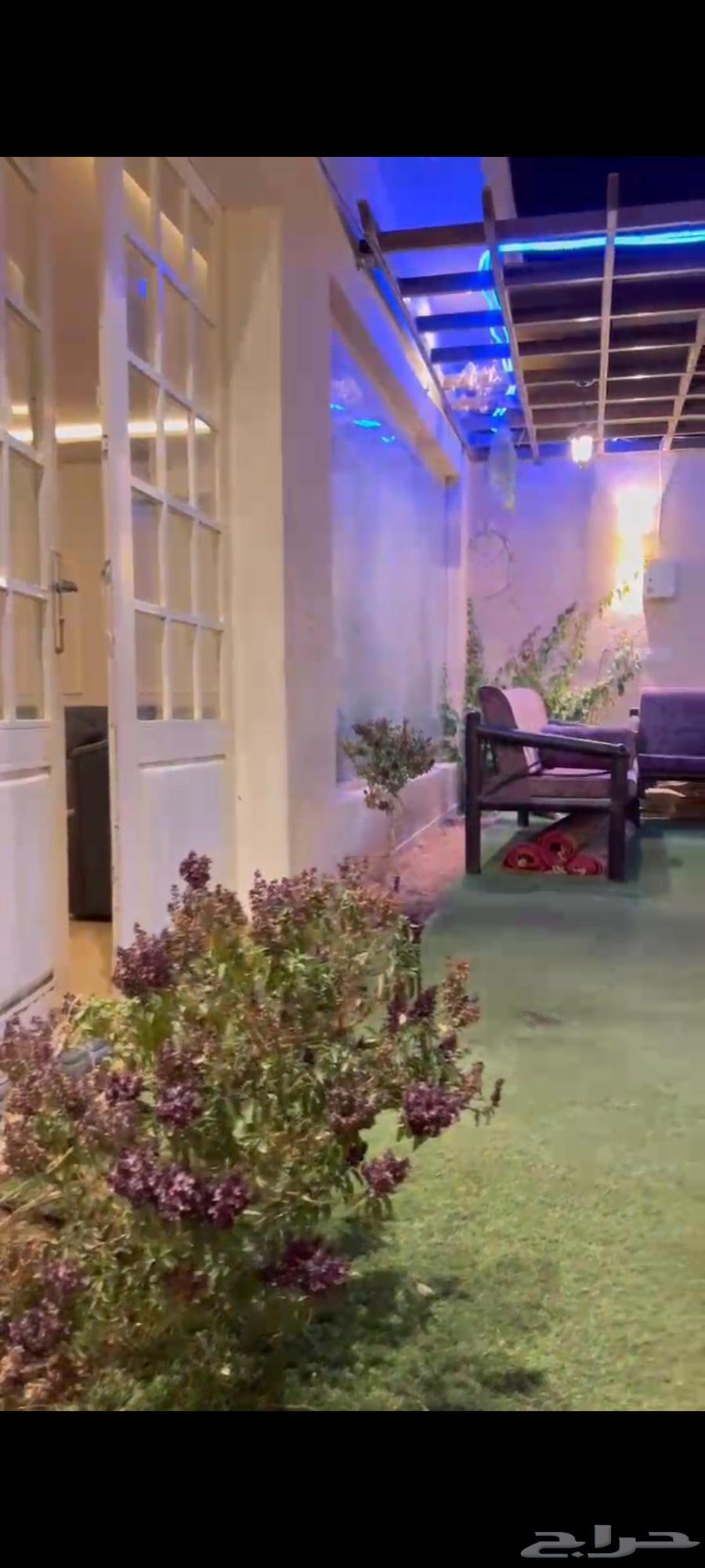 عروض شاليهات اليوم الوطني64448156132353112